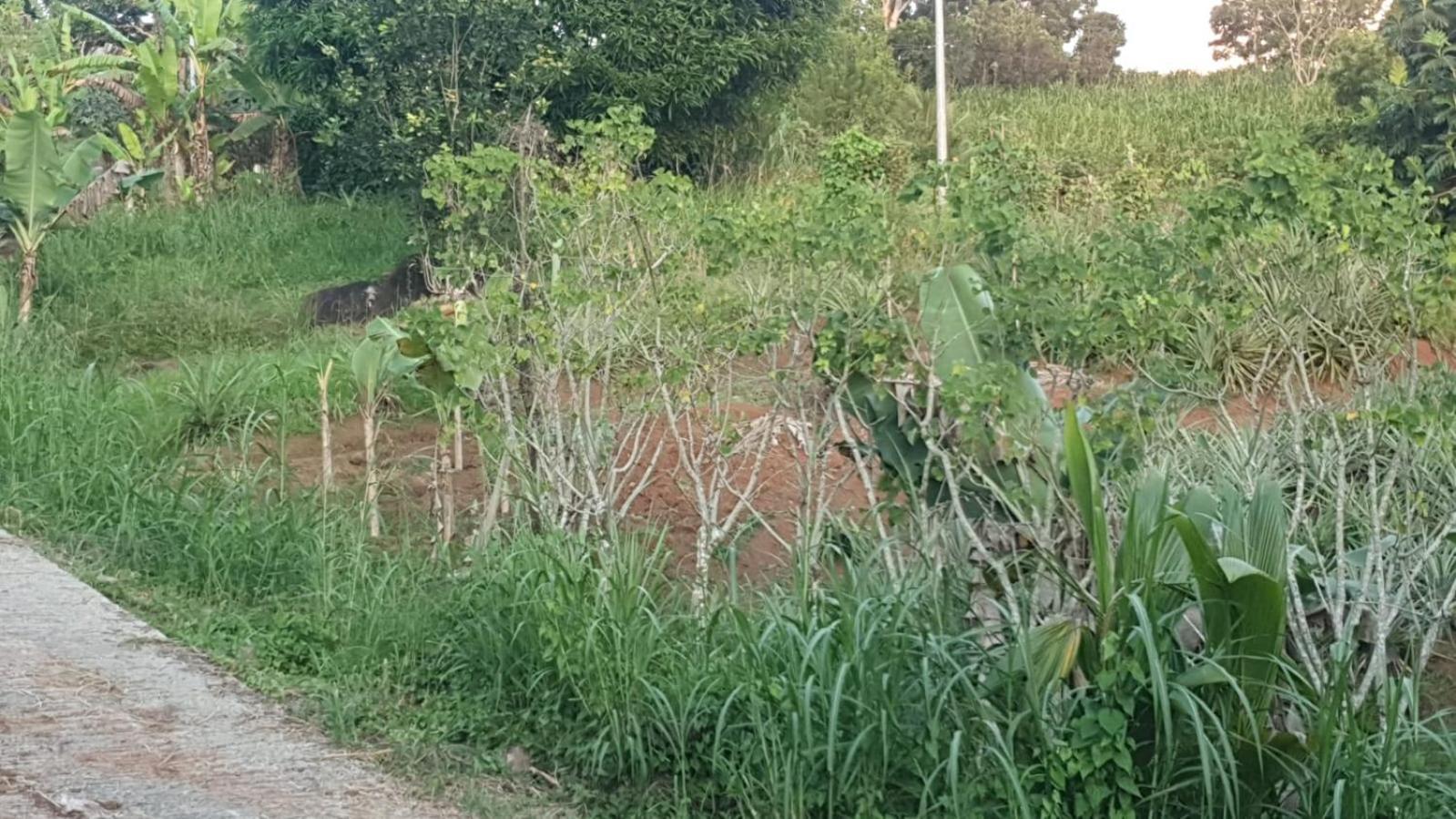 Villa Les Mahoganys Riviere-Salee Εξωτερικό φωτογραφία